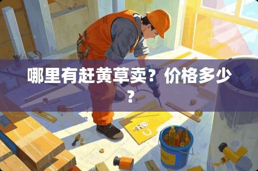 哪里有赶黄草卖？价格多少？