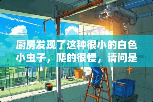 厨房发现了这种很小的白色小虫子，爬的很慢，请问是什么虫子。附上照片。