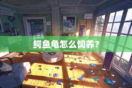 鳄鱼龟怎么饲养？