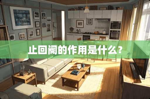 止回阀的作用是什么？