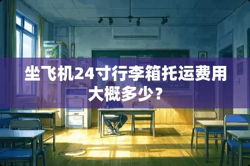坐飞机24寸行李箱托运费用大概多少？