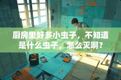 厨房里好多小虫子，不知道是什么虫子，怎么灭啊？