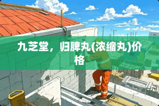 九芝堂，归脾丸(浓缩丸)价格