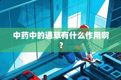 中药中的通草有什么作用啊？