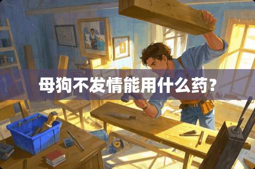 母狗不**能用什么药？