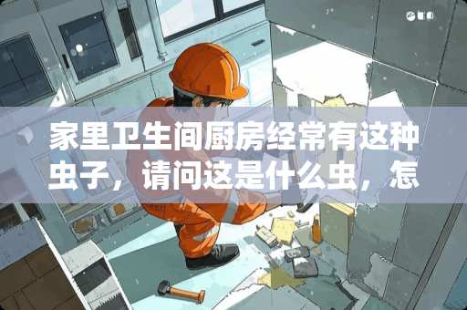 家里卫生间厨房经常有这种虫子，请问这是什么虫，怎么才能灭掉？