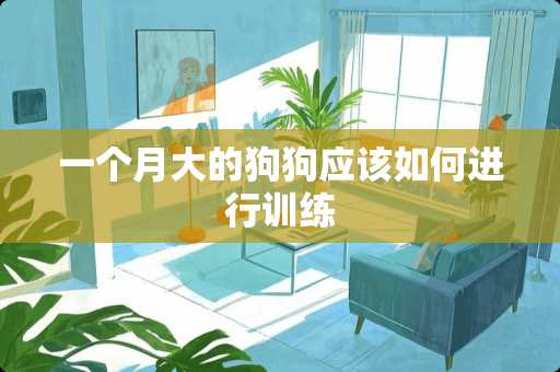 一个月大的狗狗应该如何进行训练