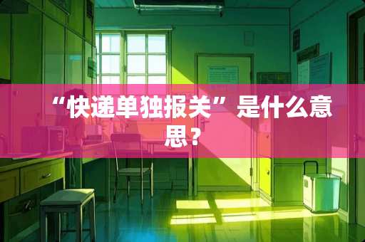 “快递单独报关”是什么意思？