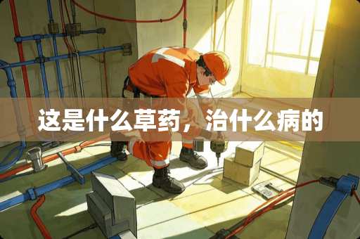 这是什么草药，治什么病的