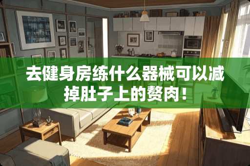 去健身房练什么器械可以减掉肚子上的赘肉！