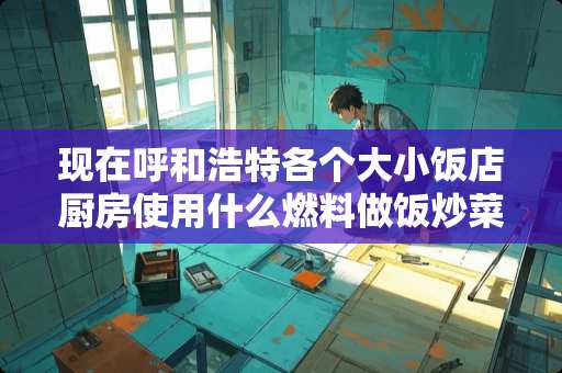 现在呼和浩特各个大小饭店厨房使用什么燃料做饭炒菜呢？