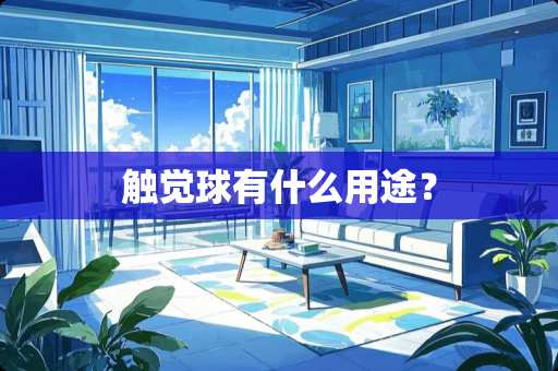 触觉球有什么用途？