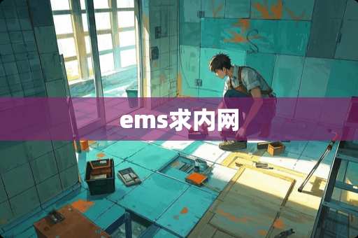 ems求内网
