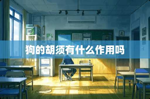 狗的胡须有什么作用吗