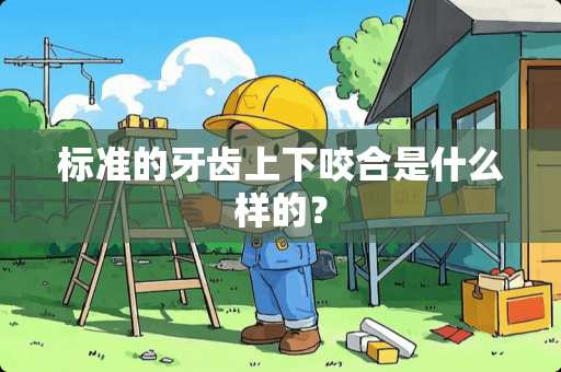 标准的牙齿上下咬合是什么样的？