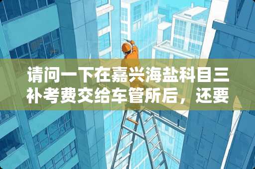 请问一下在嘉兴海盐科目三补考费交给车管所后，还要给考试中心交场地费吗？