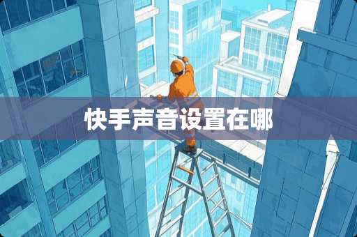 快手声音设置在哪