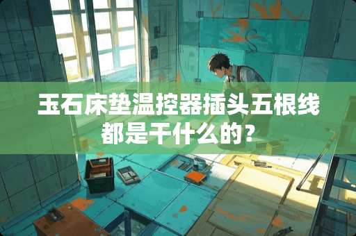 玉石床垫温控器插头五根线都是干什么的？