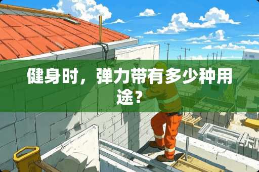健身时，弹力带有多少种用途？