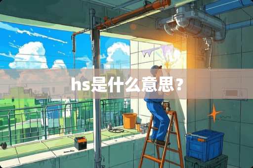hs是什么意思? hs是什么意思?