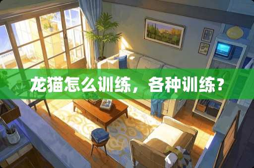 龙猫怎么训练，各种训练？