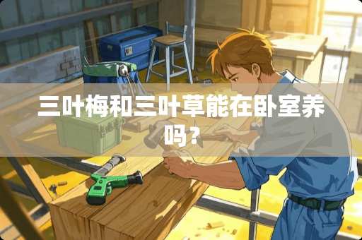 三叶梅和三叶草能在卧室养吗？