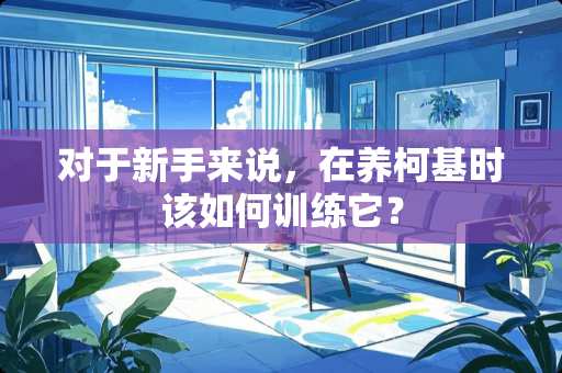 对于新手来说，在养柯基时该如何训练它？