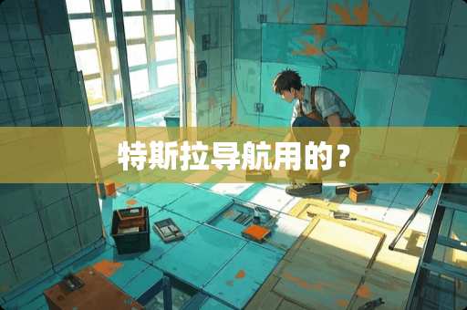 特斯拉导航用的？