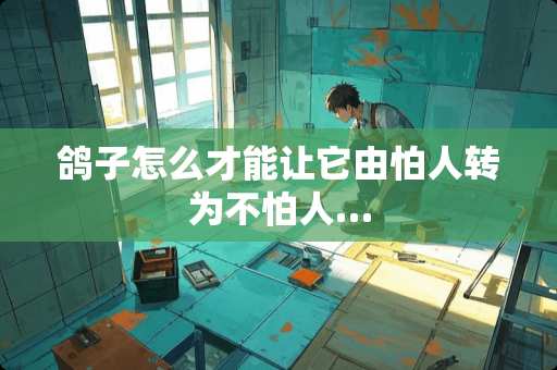 鸽子怎么才能让它由怕人转为不怕人…