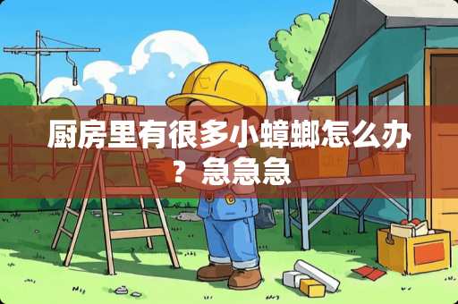 厨房里有很多小蟑螂怎么办？急急急