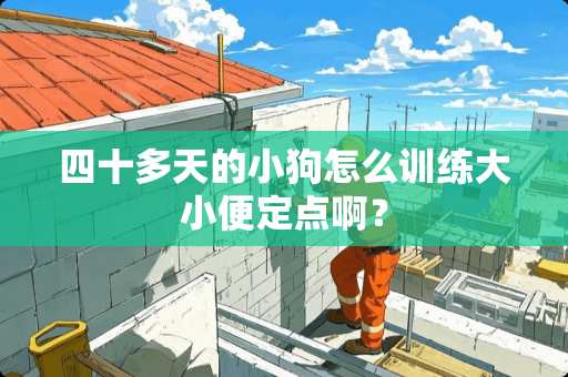 四十多天的小狗怎么训练大小便定点啊？