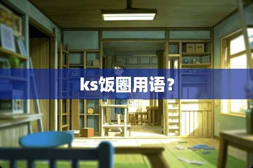 ks饭圈用语？