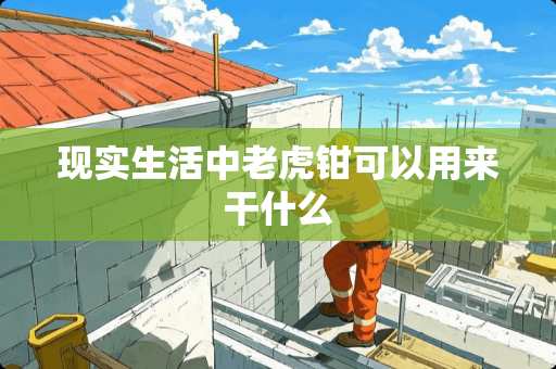 现实生活中老虎钳可以用来干什么