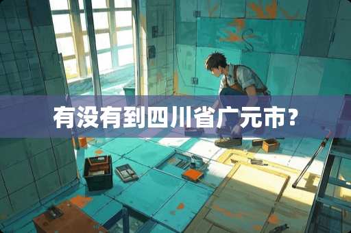 有没有到四川省广元市？