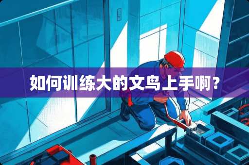如何训练大的文鸟上手啊？