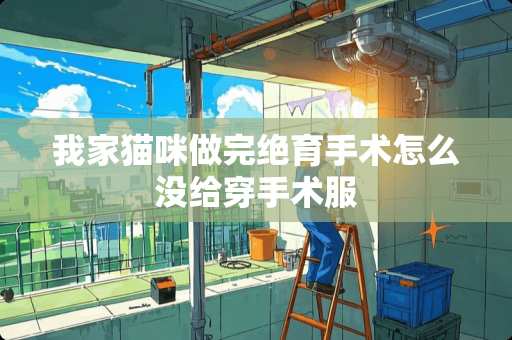 我家猫咪做完绝育手术怎么没给穿手术服