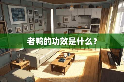 老鸭的功效是什么？