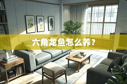 六角龙鱼怎么养？