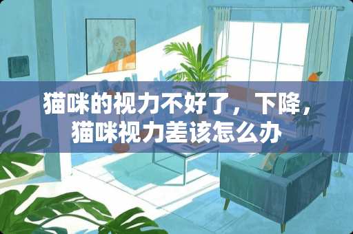 猫咪的视力不好了，下降，猫咪视力差该怎么办