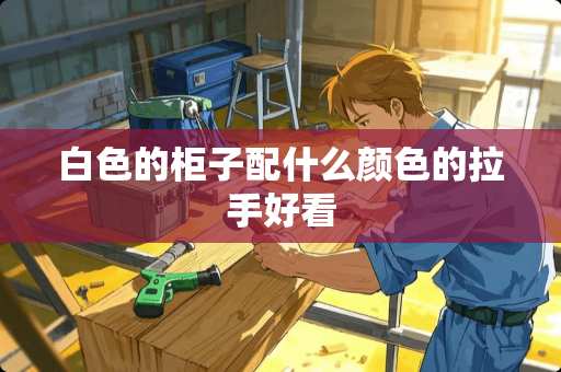 白色的柜子配什么颜色的拉手好看