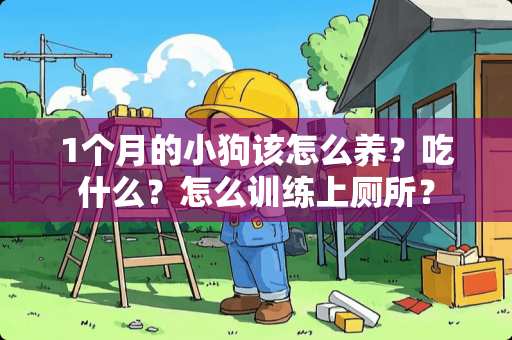1个月的小狗该怎么养？吃什么？怎么训练上厕所？