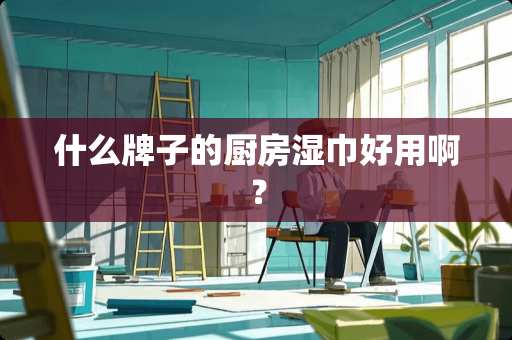 什么牌子的厨房湿巾好用啊？