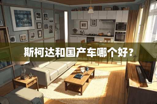 斯柯达和国产车哪个好？