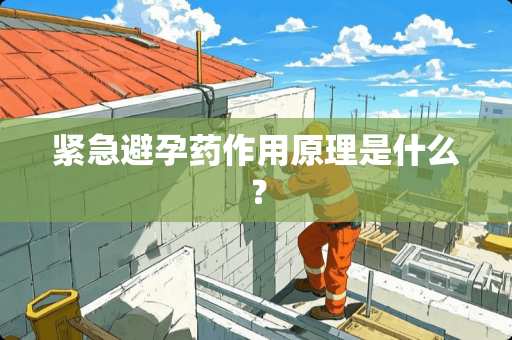 紧急避孕药作用原理是什么？