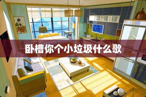 **你个小垃圾什么歌
