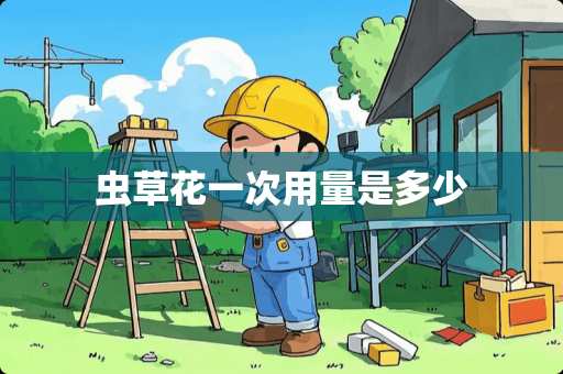 虫草花一次用量是多少