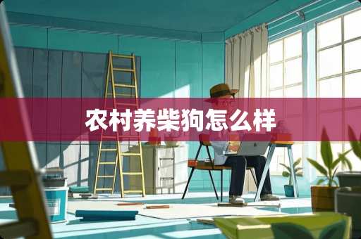农村养柴狗怎么样 农村养柴狗怎么样