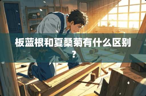 板蓝根和夏桑菊有什么区别？