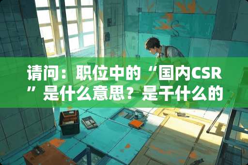 请问：职位中的“国内CSR”是什么意思？是干什么的？