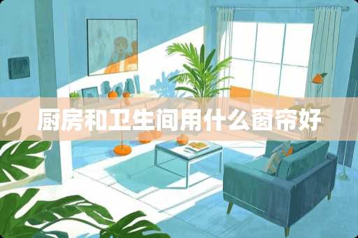 厨房和卫生间用什么窗帘好